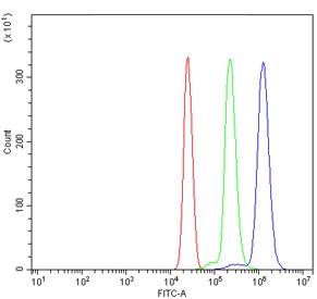 Flow cytometry testing of human U937 cells with CTSC antibody at 1ug/million cells (blocked with goat sera); Red=cells alone, Green=isotype control, Blue= CTSC antibody.~