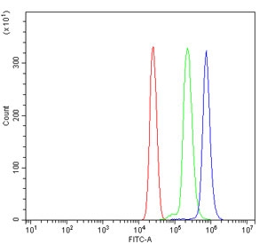 Flow cytometry testing of human U937 cells with Eg5 antibody at 1ug/million cells (blocked with goat sera); Red=cells alone, Green=isotype control, Blue= Eg5 antibody.