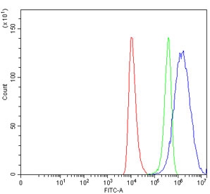 Flow cytometry testing of human HEL cells with APP-1 antibody at 1ug/million cells (blocked with goat sera); Red=cells alone, Green=isotype control, Blue= APP-1 antibody.