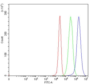 Flow cytometry testing of human 293T cells with PDIA2 antibody at 1ug/million cells (blocked with goat sera); Red=cells alone, Green=isotype control, Blue= PDIA2 antibody.~