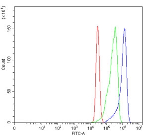 Flow cytometry testing of human MCF7 cells with CBS antibody at 1ug/million cells (blocked with goat sera); Red=cells alone, Green=isotype control, Blue= CBS antibody.~
