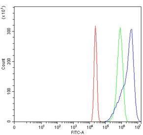 Flow cytometry testing of human U-2 OS cells with HMOX1 antibody at 1ug/million cells (blocked with goat sera); Red=cells alone, Green=isotype control, Blue= HMOX1 antibody.~