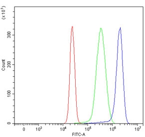Flow cytometry testing of human HepG2 cells with Niemann Pick C1 antibody at 1ug/million cells (blocked with goat sera); Red=cells alone, Green=isotype control, Blue= Niemann Pick C1 antibody.~