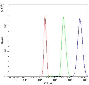 Flow cytometry testing of human HepG2 cells with PPAR alpha antibody at 1ug/million cells (blocked with goat sera); Red=cells alone, Green=isotype control, Blue= PPAR alpha antibody.~