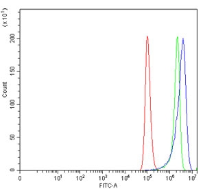 Flow cytometry testing of human HeLa cells with Glutathione Peroxidase 4 antibody at 1ug/million cells (blocked with goat sera); Red=cells alone, Green=isotype control, Blue= Glutathione Peroxidase 4 antibody.~