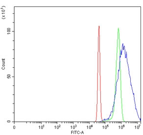 Flow cytometry testing of human SiHa cells with PANX1 antibody at 1ug/million cells (blocked with goat sera); Red=cells alone, Green=isotype control, Blue= PANX1 antibody.