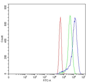 Flow cytometry testing of human MCF7 cells with TYK2 antibody at 1ug/million cells (blocked with goat sera); Red=cells alone, Green=isotype control, Blue= TYK2 antibody.~