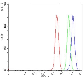 Flow cytometry testing of human 293T cells with ADAR2 antibody at 1ug/million cells (blocked with goat sera); Red=cells alone, Green=isotype control, Blue= ADAR2 antibody.
