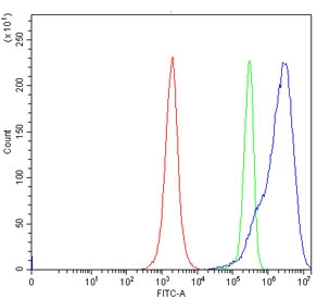 Flow cytometry testing of human JK cells with C-1-tetrahydrofolate synthase antibody at 1ug/million cells (blocked with goat sera); Red=cells alone, Green=isotype control, Blue= C-1-tetrahydrofolate synthase antibody.