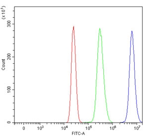 Flow cytometry testing of human HepG2 cells with FIP1L1 antibody at 1ug/million cells (blocked with goat sera); Red=cells alone, Green=isotype control, Blue= FIP1L1 antibody.
