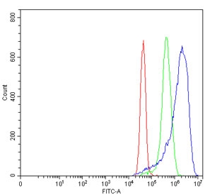 Flow cytometry testing of human MCF7 cells with MYH3 antibody at 1ug/million cells (blocked with goat sera); Red=cells alone, Green=isotype control, Blue= MYH3 antibody.~