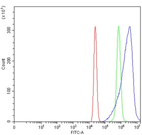 Flow cytometry testing of human U-2 OS cells with ACSS2 antibody at 1ug/million cells (blocked with goat sera); Red=cells alone, Green=isotype control, Blue= ACSS2 antibody.~