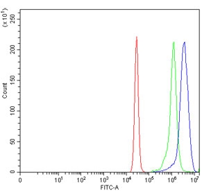Flow cytometry testing of human K562 cells with BAG2 antibody at 1ug/million cells (blocked with goat sera); Red=cells alone, Green=isotype control, Blue= BAG2 antibody.~