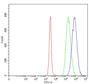 Flow cytometry testing of human Daudi cells with DNAJB1 antibody at 1ug/million cells (blocked with goat sera); Red=cells alone, Green=isotype control, Blue= DNAJB1 antibody.~