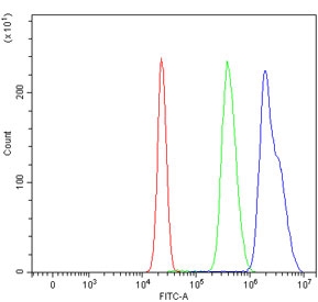 Flow cytometry testing of human HepG2 cells with CENPF antibody at 1ug/million cells (blocked with goat sera); Red=cells alone, Green=isotype control, Blue= CENPF antibody.