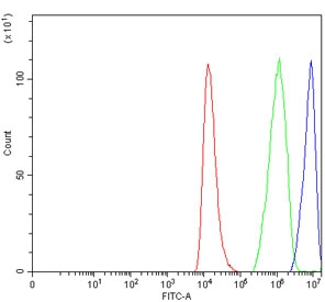Flow cytometry testing of human HEL cells with hnRNP U antibody at 1ug/million cells (blocked with goat sera); Red=cells alone, Green=isotype control, Blue= hnRNP U antibody.
