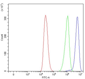 Flow cytometry testing of human ThP-1 cells with DAP5 antibody at 1ug/million cells (blocked with goat sera); Red=cells alone, Green=isotype control, Blue= DAP5 antibody.
