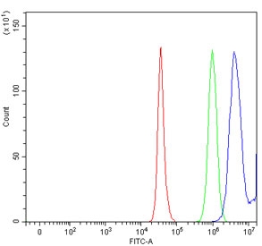 Flow cytometry testing of human HepG2 cells with 17-beta-HSD 3 antibody at 1ug/million cells (blocked with goat sera); Red=cells alone, Green=isotype control, Blue= 17-beta-HSD 3 antibody.~