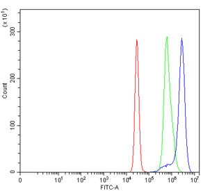 Flow cytometry testing of human K562 cells with ARL13B antibody at 1ug/million cells (blocked with goat sera); Red=cells alone, Green=isotype control, Blue= ARL13B antibody.