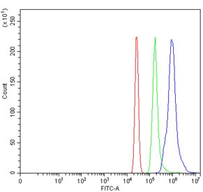 Flow cytometry testing of human HL60 cells with NCOA4 antibody at 1ug/million cells (blocked with goat sera); Red=cells alone, Green=isotype control, Blue= NCOA4 antibody.~