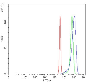 Flow cytometry testing of human SiHa cells with RAB23 antibody at 1ug/million cells (blocked with goat sera); Red=cells alone, Green=isotype control, Blue= RAB23 antibody.