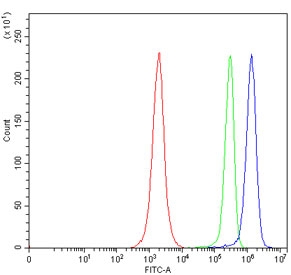 Flow cytometry testing of human JK cells with SLC5A7 antibody at 1ug/million cells (blocked with goat sera); Red=cells alone, Green=isotype control, Blue= SLC5A7 antibody.~