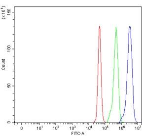 Flow cytometry testing of human U-87 MG cells with VPS53 antibody at 1ug/million cells (blocked with goat sera); Red=cells alone, Green=isotype control, Blue= VPS53 antibody.