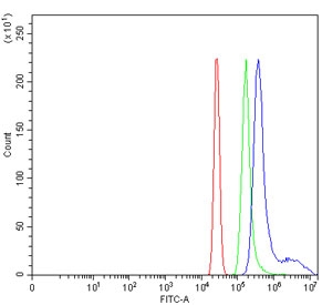 Flow cytometry testing of human HL60 cells with WDR12 antibody at 1ug/million cells (blocked with goat sera); Red=cells alone, Green=isotype control, Blue= WDR12 antibody.~
