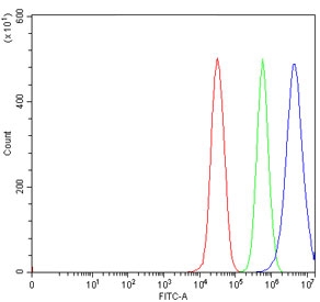 Flow cytometry testing of human 293T cells with USP26 antibody at 1ug/million cells (blocked with goat sera); Red=cells alone, Green=isotype control, Blue= USP26 antibody.
