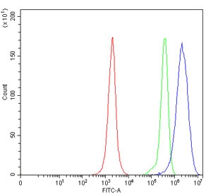 Flow cytometry testing of human JK cells with HSD17B8 antibody at 1ug/million cells (blocked with goat sera); Red=cells alone, Green=isotype control, Blue= HSD17B8 antibody.~
