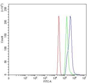 Flow cytometry testing of human HL60 cells with WDR46 antibody at 1ug/million cells (blocked with goat sera); Red=cells alone, Green=isotype control, Blue= WDR46 antibody.~