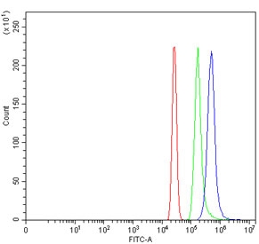 Flow cytometry testing of human HL60 cells with Zinc finger MYM-type protein 1 antibody at 1ug/million cells (blocked with goat sera); Red=cells alone, Green=isotype control, Blue= Zinc finger MYM-type protein 1 antibody.~