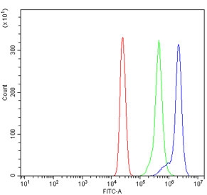 Flow cytometry testing of human U937 cells with TOMM20-like protein 1 antibody at 1ug/million cells (blocked with goat sera); Red=cells alone, Green=isotype control, Blue= TOMM20-like protein 1 antibody.~