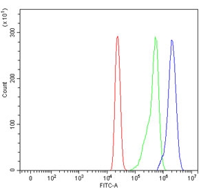 Flow cytometry testing of human HL60 cells with SARS1 antibody at 1ug/million cells (blocked with goat sera); Red=cells alone, Green=isotype control, Blue= SARS1 antibody.