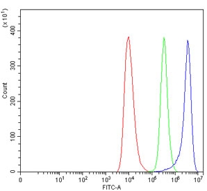 Flow cytometry testing of human HEL cells with ADRA2A antibody at 1ug/million cells (blocked with goat sera); Red=cells alone, Green=isotype control, Blue= ADRA2A antibody.~