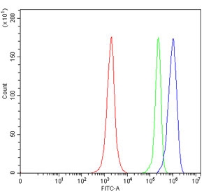 Flow cytometry testing of human Jurkat cells with Sirtuin 5 antibody at 1ug/million cells (blocked with goat sera); Red=cells alone, Green=isotype control, Blue= Sirtuin 5 antibody.