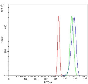 Flow cytometry testing of human U-2 OS cells with SLC3A1 antibody at 1ug/million cells (blocked with goat sera); Red=cells alone, Green=isotype control, Blue= SLC3A1 antibody.~