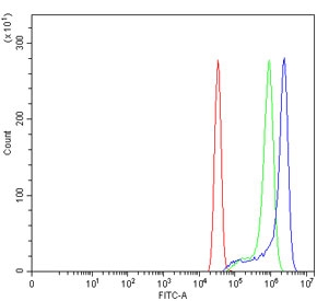 Flow cytometry testing of human SiHa cells with CXCR7 antibody at 1ug/million cells (blocked with goat sera); Red=cells alone, Green=isotype control, Blue= CXCR7 antibody.