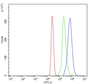 Flow cytometry testing of human U937 cells with CLEC7A antibody at 1ug/million cells (blocked with goat sera); Red=cells alone, Green=isotype control, Blue= CLEC7A antibody.~
