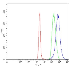 Flow cytometry testing of human Daudi cells with XPO5 antibody at 1ug/million cells (blocked with goat sera); Red=cells alone, Green=isotype control, Blue= XPO5 antibody.