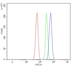 Flow cytometry testing of rat RH35 cells with Tropomyosin 2 antibody at 1ug/million cells (blocked with goat sera); Red=cells alone, Green=isotype control, Blue= Tropomyosin 2 antibody.