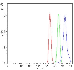 Flow cytometry testing of human MCF7 cells with Triadin antibody at 1ug/million cells (blocked with goat sera); Red=cells alone, Green=isotype control, Blue= Triadin antibody.~