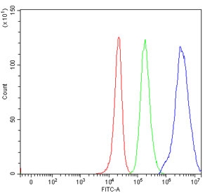 Flow cytometry testing of human 293T cells with PCH2 antibody at 1ug/million cells (blocked with goat sera); Red=cells alone, Green=isotype control, Blue= PCH2 antibody.~