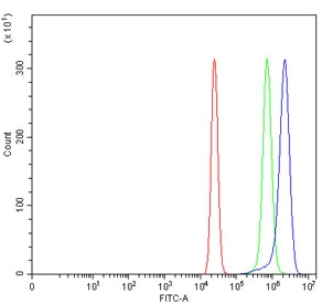 Flow cytometry testing of human U-2 OS cells with VPS51 antibody at 1ug/million cells (blocked with goat sera); Red=cells alone, Green=isotype control, Blue= VPS51 antibody.~