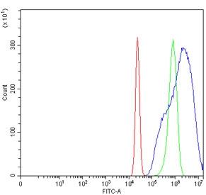 Flow cytometry testing of human U-2 OS cells with YBX2 antibody at 1ug/million cells (blocked with goat sera); Red=cells alone, Green=isotype control, Blue= YBX2 antibody.