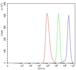 Flow cytometry testing of human HEL cells with Septin 6 antibody at 1ug/million cells (blocked with goat sera); Red=cells alone, Green=isotype control, Blue= Septin 6 antibody.