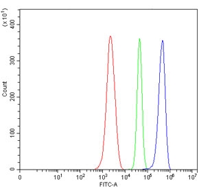 Flow cytometry testing of mouse ANA-1 cells with Septin 6 antibody at 1ug/million cells (blocked with goat sera); Red=cells alone, Green=isotype control, Blue= Septin 6 antibody.