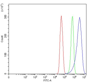 Flow cytometry testing of human U-251 cells with TRAT1 antibody at 1ug/million cells (blocked with goat sera); Red=cells alone, Green=isotype control, Blue= TRAT1 antibody.~