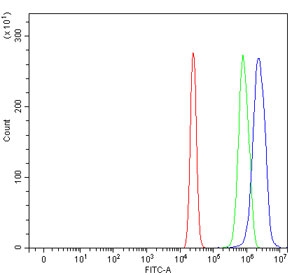 Flow cytometry testing of human U-2 OS cells with SCML1 antibody at 1ug/million cells (blocked with goat sera); Red=cells alone, Green=isotype control, Blue= SCML1 antibody.