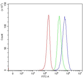 Flow cytometry testing of human 293T cells with hKR3 antibody at 1ug/million cells (blocked with goat sera); Red=cells alone, Green=isotype control, Blue= hKR3 antibody.~